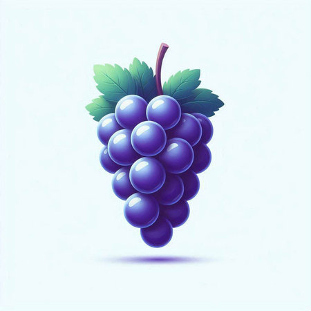 Grapes with leaves on a blue background. Vector illustration.の写真素材