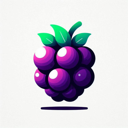 bunch of blackberries on a white background. Vector illustration.の写真素材