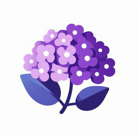 Illustration of a purple hydrangea on a white background