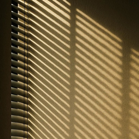 sunlight through the blinds on a window in the morning light