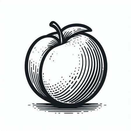 Vector hand drawn black and white engraving apple isolated on white backgroundの写真素材