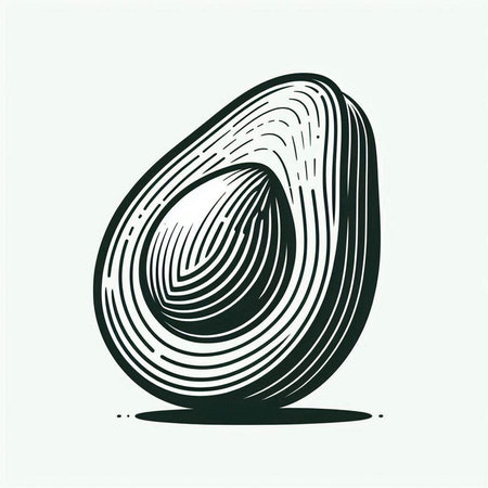 Avocado. Hand drawn vector illustration in sketch style. Isolated on white background.
