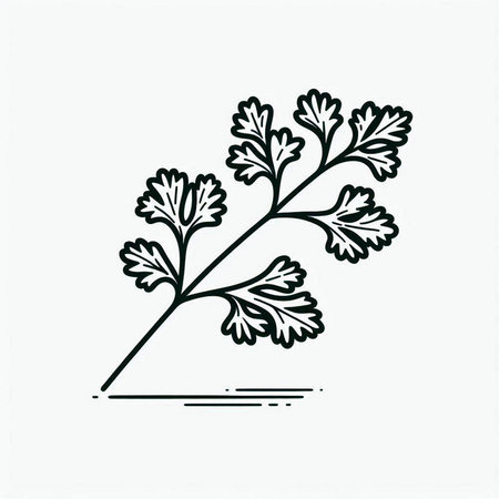 Coriander icon. Herbs and spices. Vector illustration.