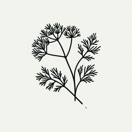 Dill. Hand drawn vector illustration. Isolated on white background.