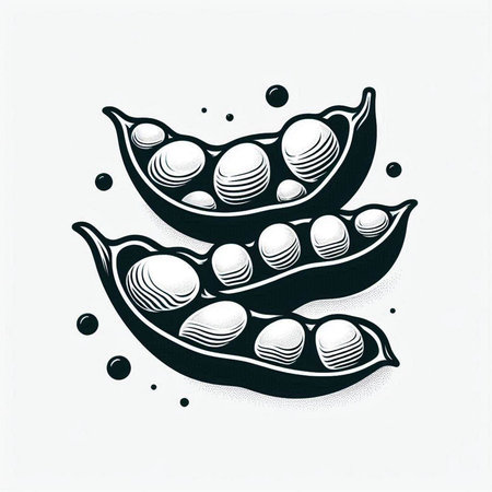 Soybean pods. Hand drawn vector illustration in sketch style.