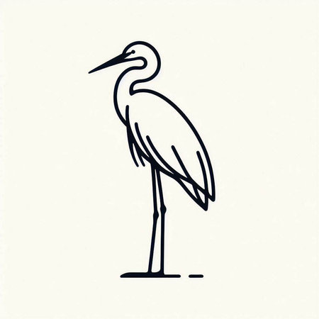 Egret line icon. Vector illustration of a heron.の写真素材