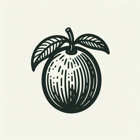 Plum hand drawn vector illustration. Engraved style botanical fruit.の写真素材