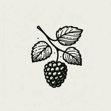 Blackberry hand drawn vector illustration. Detailed vegetarian food drawing.