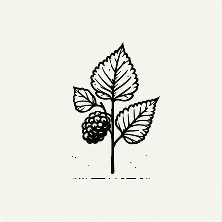 Blackberry branch with leaves and berries. Hand drawn sketch. Vector illustration.の写真素材