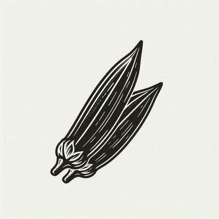 Illustration of fresh organic okra in engraving style.