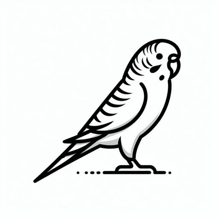 Budgerigar bird. Vector illustration on white background.