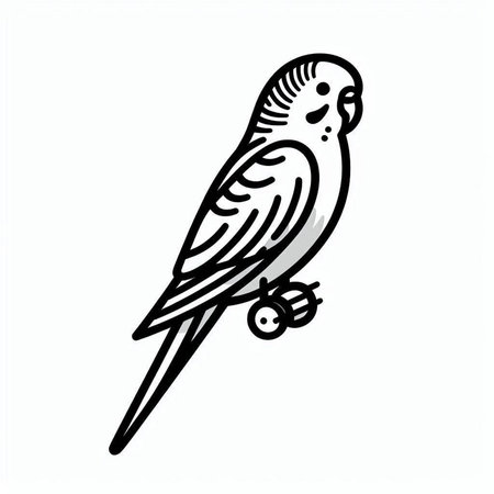 Budgerigar bird on white background. Vector illustration.