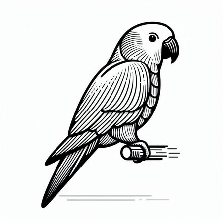 Parrot on a white background. Vector illustration in sketch style.