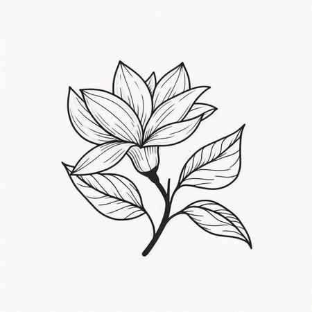 Magnolia branch with leaves. Hand drawn botanical vector illustration.の写真素材