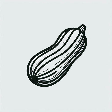 Zucchini. Hand drawn sketch. Vector illustration isolated on white background.の写真素材