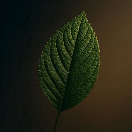 Green leaf on a dark background. 3d rendering, 3d illustration.