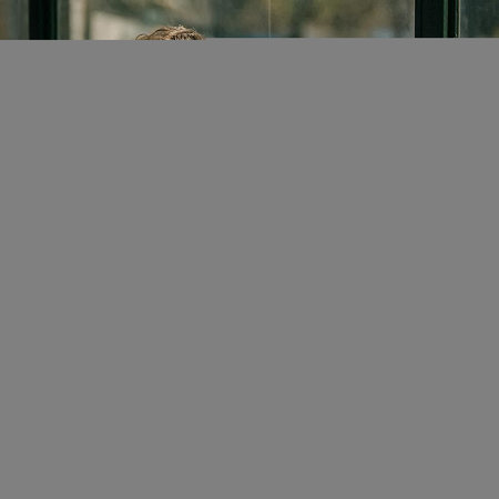 Beautiful young woman standing near the window and looking at the city
