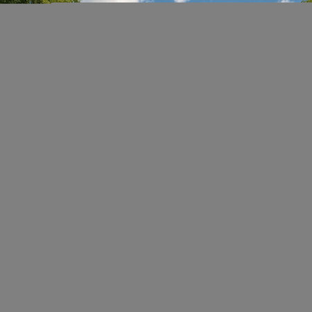 Aerial view of a green forest in summer. High quality photo