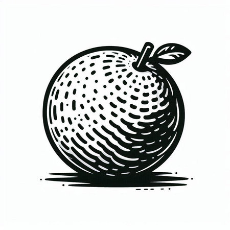 black and white engraving of a mandarin. vector illustrationの写真素材