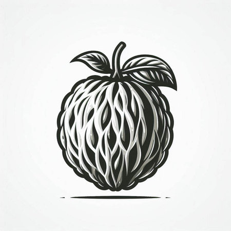 Custard apple vector illustration isolated on white background. Hand drawn sketch.