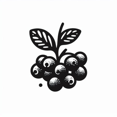 Hand drawn black currant berries on white background. Vector illustration.の写真素材