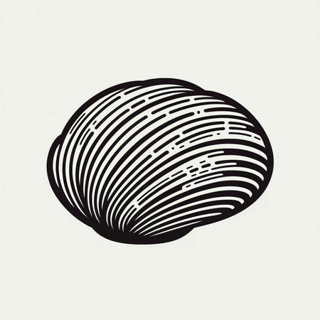Sea shell. Hand drawn vector illustration in engraving style.
