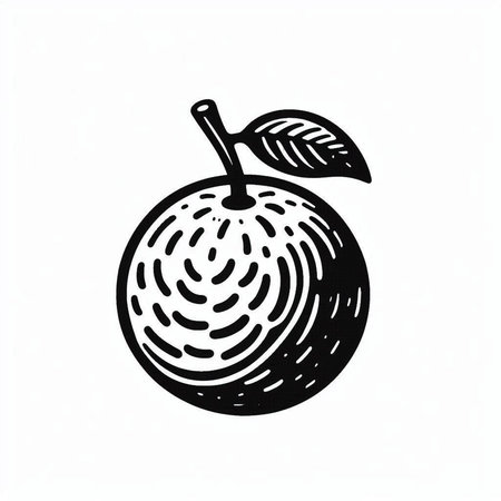 Ripe orange fruit on a white background. Hand drawn vector illustration.の写真素材