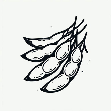 Hand drawn soy beans. Vector illustration in sketch style isolated on white background.