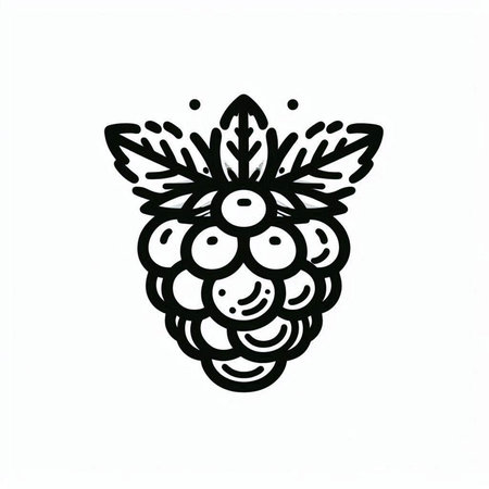 Blackberry fruit icon isolated on white background. Hand drawn vector illustration.の写真素材