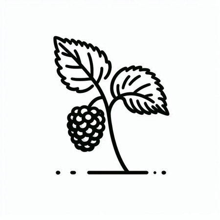 Blackberry icon on white background. Black and white vector illustration.の写真素材