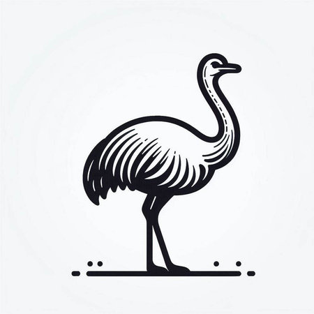 Ostrich, emu, ostrich, bird, vector illustrationの写真素材