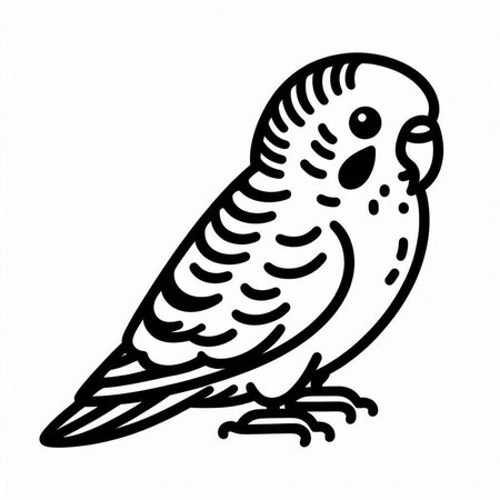 Budgerigar on white background. Vector illustration in doodle style.