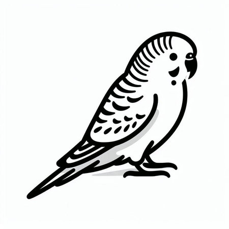 budgerigar icon on white background. vector illustration.
