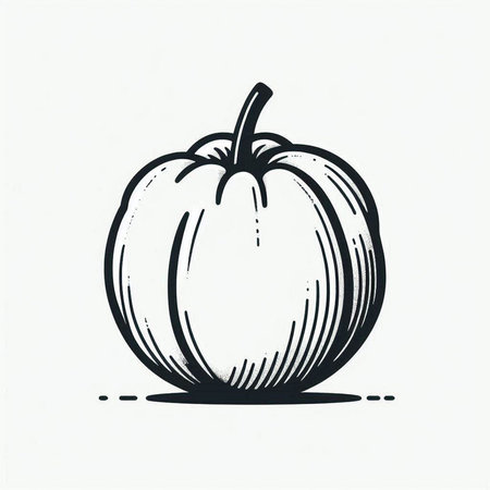 Pumpkin on white background. Hand drawn vector illustration in sketch style.の写真素材