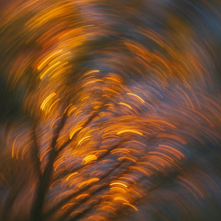 abstract background of the autumn forest and the sun. long exposure