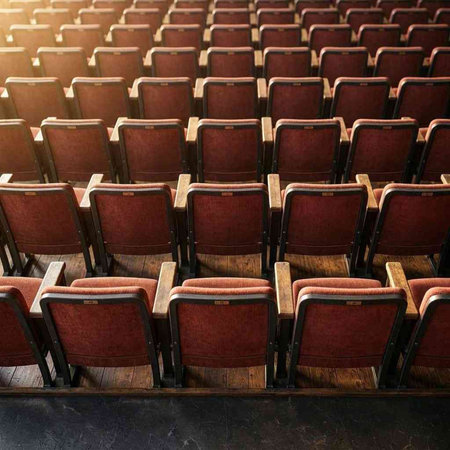 Rows of empty seats in the auditorium of a theater.