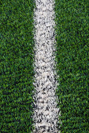 White line on the green grass の写真素材
