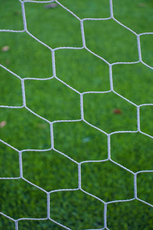 Football net on green grassの写真素材