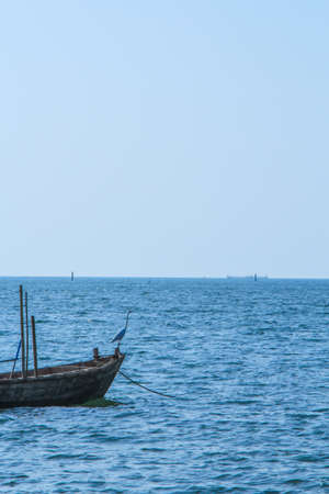 Bird Fishing boats on the beach bangsaen Thailandの写真素材