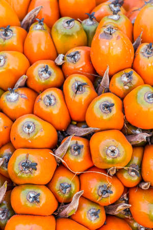 Oil palm seeds, ripe and redの写真素材