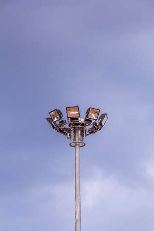 reet light on blue sky の写真素材