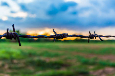Close up of barbed wire during sunset の写真素材