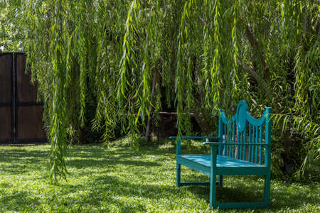 Romantic bench in paceful park in springの写真素材