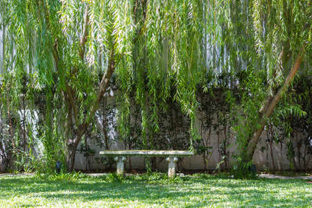 Romantic bench in paceful park in springの写真素材