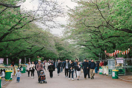 Apr 7, 2018  Tokyo, Tokyo UenoPark tree trail People strolling, relaxing in the walking, Tokyo Japanのeditorial素材