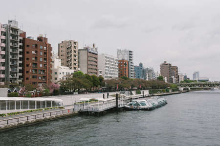 Apr 6, 2018  Tokyo, JAPAN Sumida River (Bokutei) & Tokyo Cruise Ship  where cherry blossoms (sakura) are in full bloomのeditorial素材