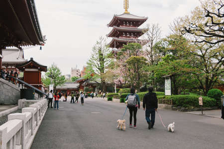 Apr 6, 2018  Tokyo, JAPAN -Sensoji temple. Sensoji is Tokyo's most famous and popular temple.のeditorial素材