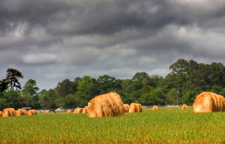 Hay Field with Dark Storm Cloudsの写真素材