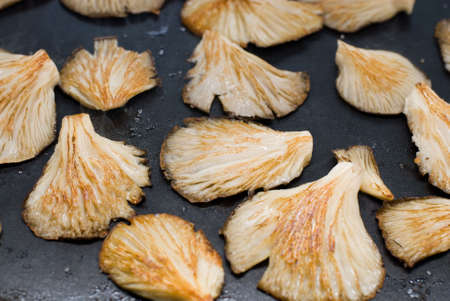 mushroomsの写真素材