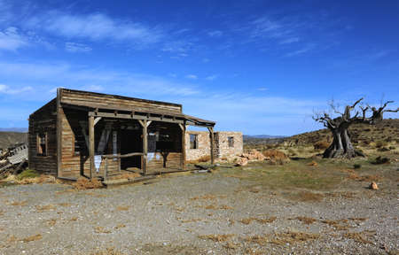 Natureの写真素材